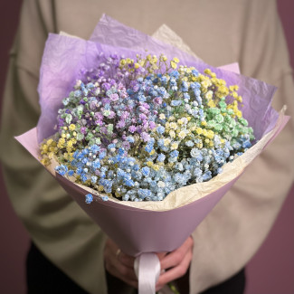 Гипсофила чебоксары цены цветы с доставкой по всей россии недорого